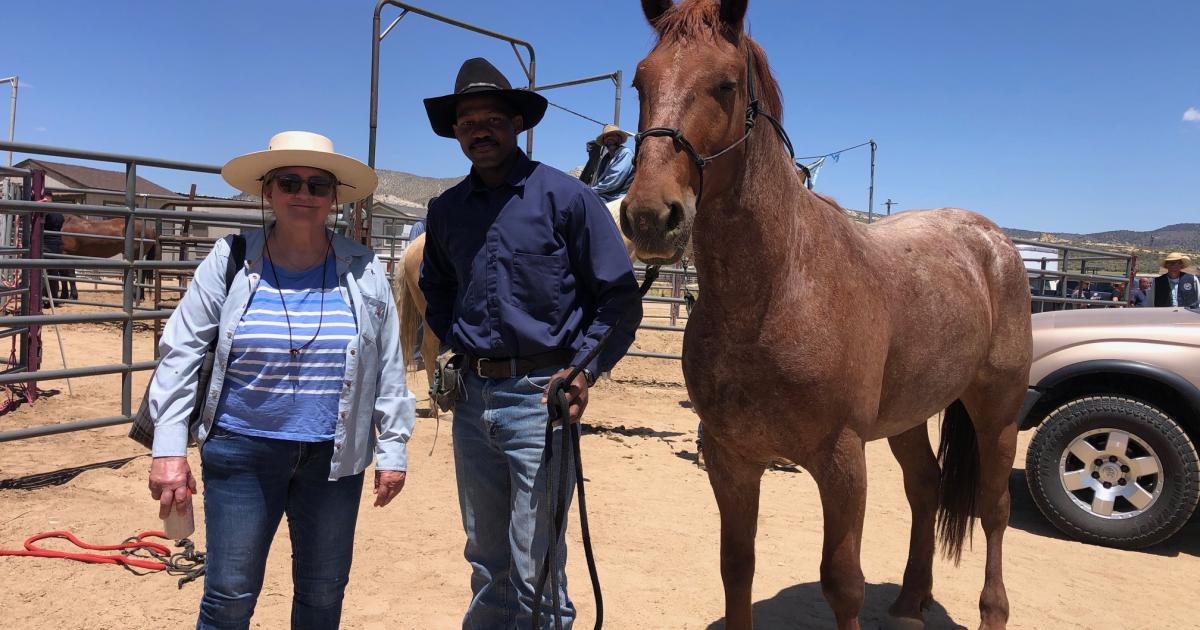 BLM schedules wild horse adoption event with Fort Worth Mustang Show